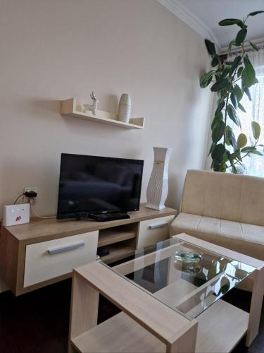 Телевизор и/или развлекательный центр в Apartment Marina