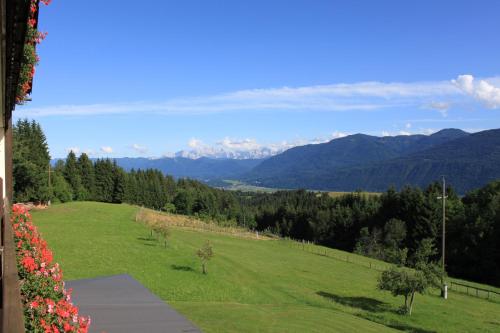 a green field with mountains in the background at Naturgut Gailtal in Sankt Stefan an der Gail