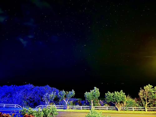 a night time view of a park with trees at Taitung Blue Sea Villa in Chenggong