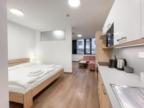 Η κουζίνα ή μικρή κουζίνα στο Metropolitan Star Apart Hotel