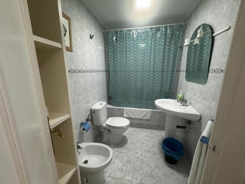 La salle de bains est pourvue de toilettes, d'un lavabo et d'une douche. dans l'établissement Apartamento con vistas al mar y piscina II, à Suances