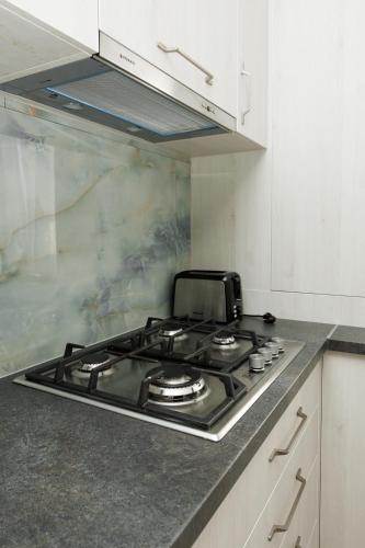 Kuchyň nebo kuchyňský kout v ubytování Exclusive Ultracentral Apartments and Studios #Enescu#Universitatii#Suceava