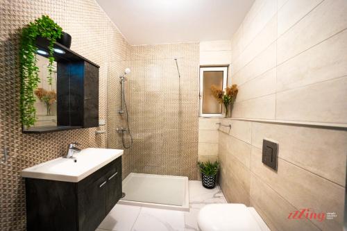 uma casa de banho com um lavatório, um chuveiro e um WC. em A Stylishly Chic Holiday Home with SOFA BED - A12 em St. Paul's Bay