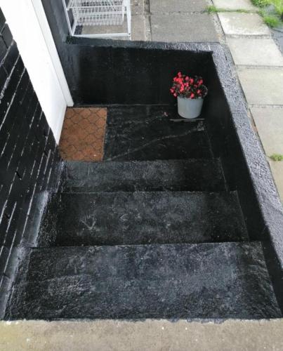 a potted plant sitting on the steps of a house at 1 Bed 1 Bathroom w Parking Wi-Fi Netflix in Auckland