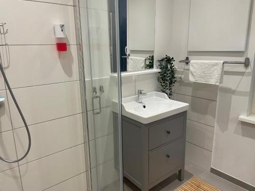 a bathroom with a sink and a shower at FeWo Oldau's Nestchen in Oldau