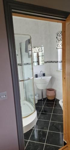 een badkamer met een wastafel, een toilet en een spiegel bij Shadowvale E34X773 in Tipperary