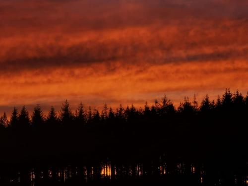 a sunset over a group of trees in the foreground at Libramont Stone Garden Haven in Libramont