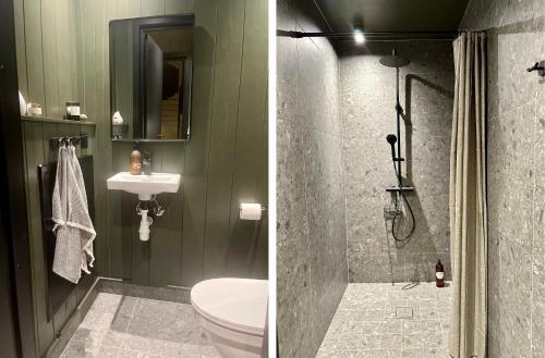 a bathroom with a shower and a toilet and a sink at Ljungvind Funäsdalen in Funäsdalen