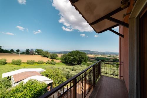 Příroda nedaleko apartmánu