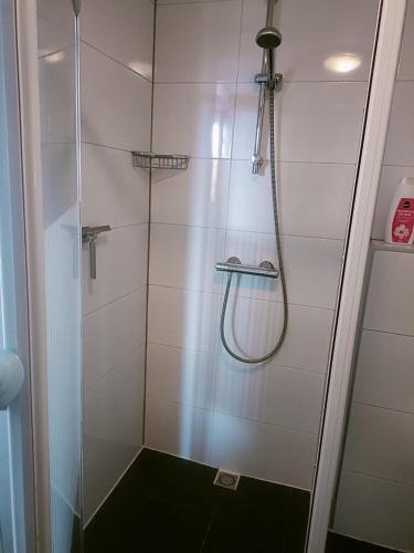 a shower with a glass door in a bathroom at De Lindehoeve Appartement de Deel in Vledder