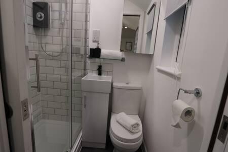 a small bathroom with a toilet and a shower at The Snug- Studio in Portishead with Parking in Portishead