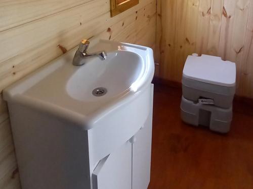 a bathroom with a sink and a toilet at LA CABAÑA DEL CAMPO in Ushuaia