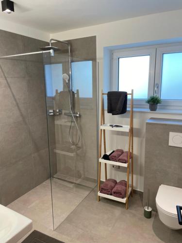 a bathroom with a shower and a toilet at Lake & Town Apartments Klagenfurt in Klagenfurt