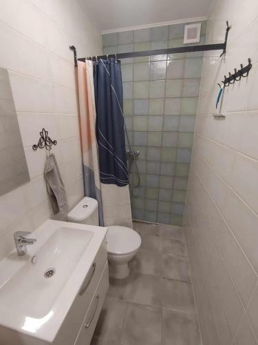 une salle de bain avec un lavabo, des toilettes et une douche dans l'établissement Moravský Grunt Konírna, à Olomouc