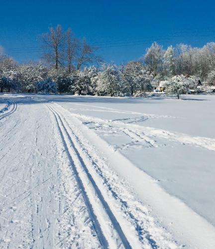 a snow covered field with tracks in the snow at Wellness apartmány Český ráj & Biokolna in Lomnice nad Popelkou