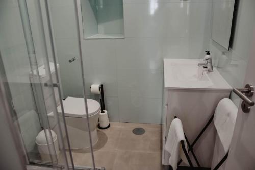 uma casa de banho com um chuveiro, um WC e um lavatório. em Veiga apartment (self check in) em Coimbra