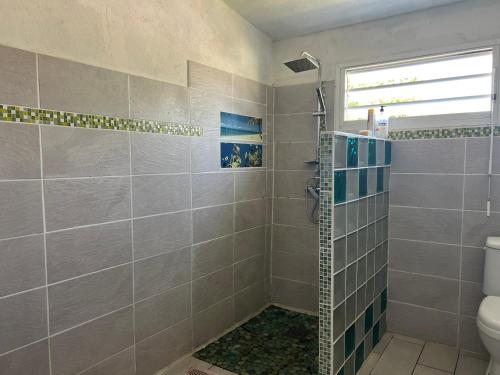 a bathroom with a shower and a toilet at CosyLife Sainte-Rose - Villa calme avec vue Sofaïa à 3km de la plage in Sainte-Rose