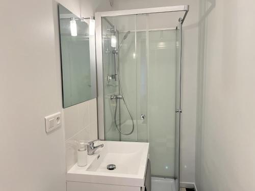 une salle de bain blanche avec une douche et un lavabo dans l'établissement Comtes du Maine - Centre - Parade des pilotes - 6 pers, au Mans