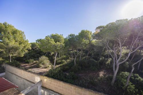 a garden with trees and a brick wall at Can Bennasar in Can Picafort