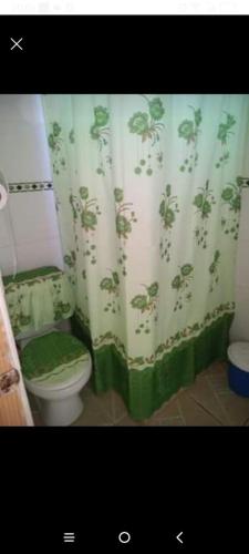 La salle de bains est pourvue de toilettes et d'un rideau de douche. dans l'établissement Departamento en Las Cruces, à El Tabo