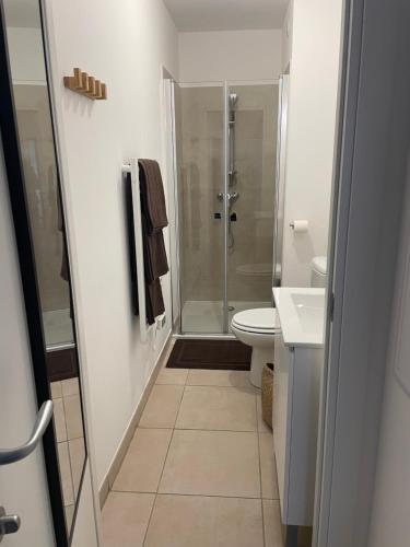 une salle de bain avec une douche, des toilettes et un lavabo dans l'établissement Studio design front de mer classé 3 étoiles, à Linguizzetta