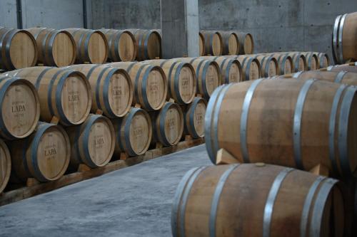 a row of wooden barrels in a cellar at Quinta da Lapa in Manique do Intendente