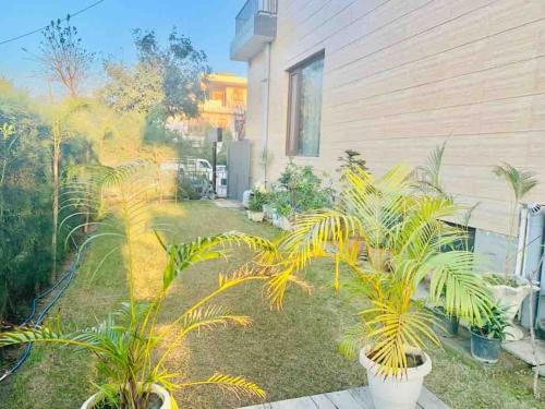 a yard with palm trees in pots next to a house at Private 3 BHK - Woodstock Villa Amritsar in Amritsar