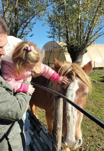 Gambar di galeri bagi Agriturismo Nonna Luisa di Ferentino