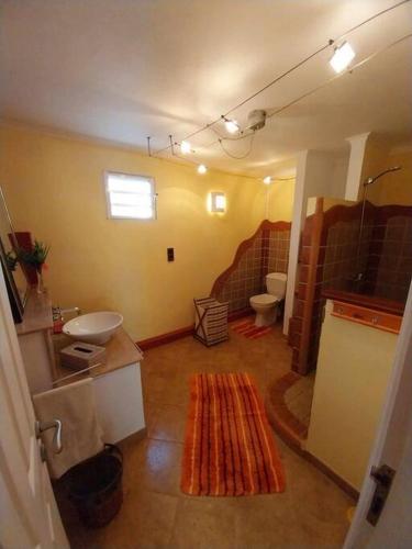 a bathroom with a sink and a toilet at Little Africa in Calodyne