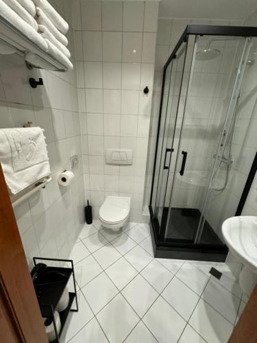 a white bathroom with a shower and a toilet at The best in Dresden