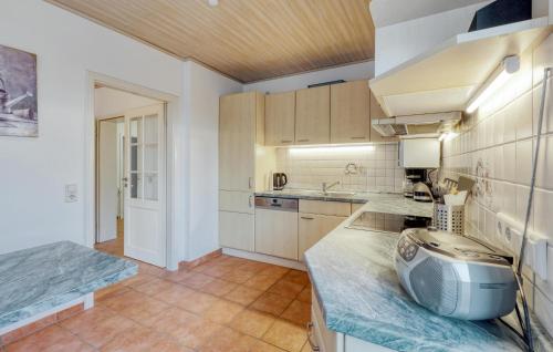 Η κουζίνα ή μικρή κουζίνα στο Beautiful Apartment In Neukirchen