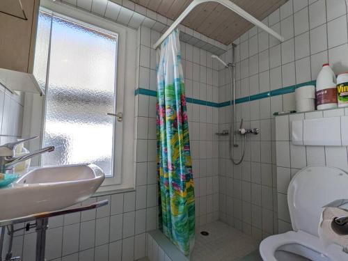 uma casa de banho com uma cortina de chuveiro e um lavatório em Wild Valley Garden Paradise in Valle Onsernone em Auressio