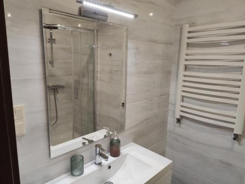 un bagno con lavandino, doccia e specchio di Dworek Zaporów a Górecko Kościelne