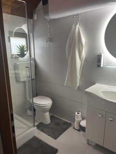 a bathroom with a toilet and a shower and a sink at B-HAUSE zárt parkolóval és jacuzzival in Debrecen