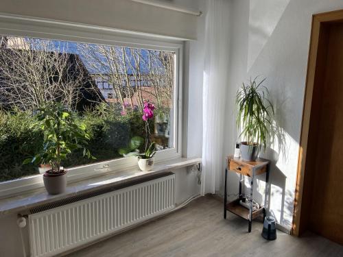 ein Zimmer mit einem Fenster mit Topfpflanzen darauf in der Unterkunft Haus Waldesruh in Medebach