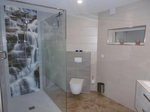 W łazience znajduje się przeszklony prysznic i toaleta. w obiekcie FeWo Elpetalblick w mieście Olsberg