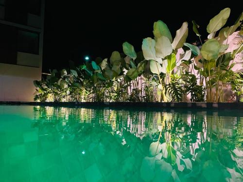 a swimming pool at night with a bunch of plants at Pousada Yamandu in Juquei