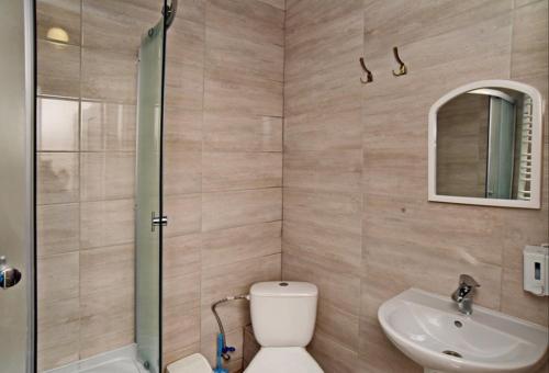 ein Bad mit einer Dusche, einem WC und einem Waschbecken in der Unterkunft Готель Міленіум in Drahobrat