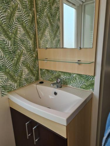 ein Bad mit einem Waschbecken und einem Spiegel in der Unterkunft Mobil-home 5 places in La Boissière-de-Montaigu