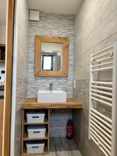 une salle de bain avec un lavabo et un miroir dans l'établissement La Perle des Dunes- Front de mer- Accès direct plage, à Montmartin-sur-Mer