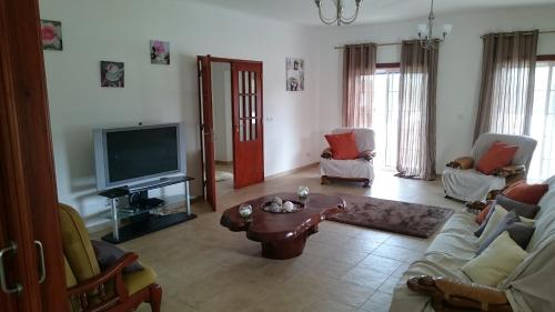 a living room with a couch and a tv at Casa Das Oliveiras in Alvados