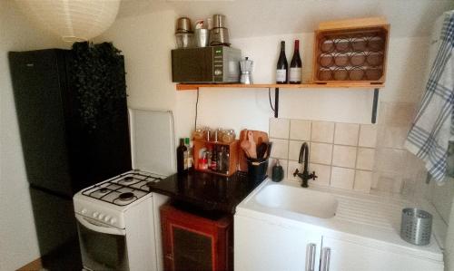 Il comprend une petite cuisine équipée d'une cuisinière et d'un évier. dans l'établissement Appartement Centre ville + parking, à Orléans