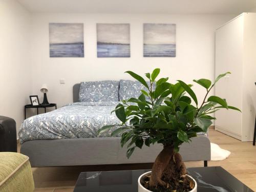 - un salon avec un lit et une plante en pot dans l'établissement Grand F2 confortable, à Saint-Denis