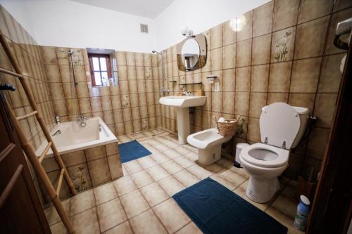 ein Badezimmer mit einem WC, einem Waschbecken und einem Spiegel in der Unterkunft Maison au cœur de Saint-Émilion in Saint-Christophe-des-Bardes