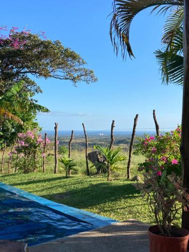 a view of a garden with palm trees and flowers at La Maracuya Panama in Playa Coronado