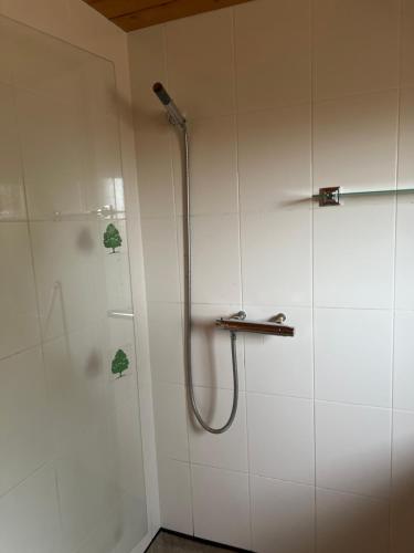 a shower in a bathroom with a shower at Holme Woodmans Lodge in Holme