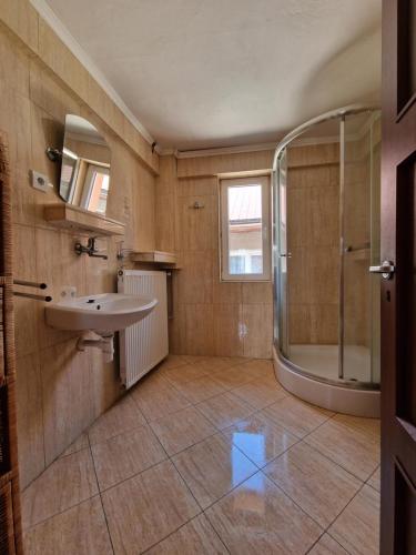 een badkamer met een wastafel en een douche bij Drevenica Vitanová in Vitanová