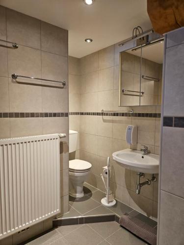 a bathroom with a toilet and a sink at Gasthof Pension Kohlplatzl in Hopfgarten in Defereggen