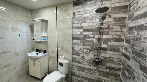 a bathroom with a shower and a toilet and a sink at cozy apartments kazbegi in Stepantsminda
