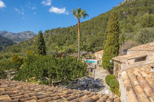 a resort with a palm tree and a swimming pool at Finca Es Castell in Binibona